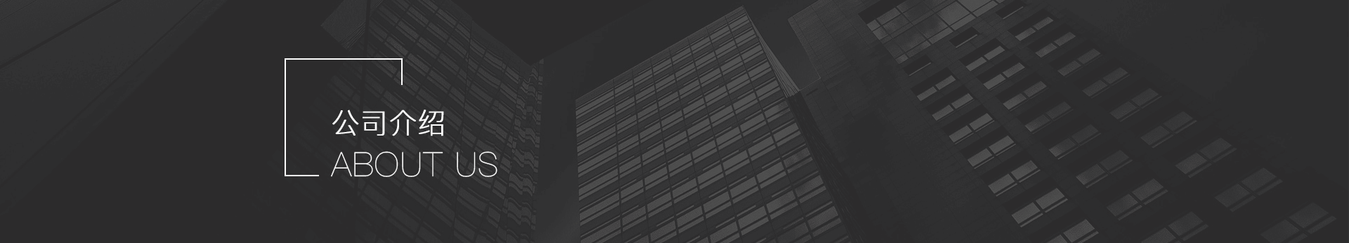 公司介紹